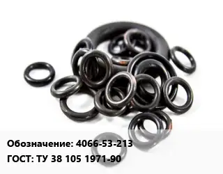 Кольцо РТИ 4066-53-213 ГОСТ: ТУ 38 105 1971-90